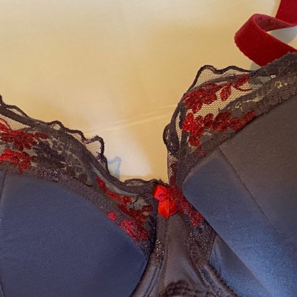 European Half Padded Bra 30G